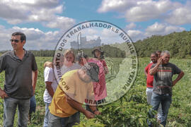 [Título n/d] : lote nº 002, pasta nº 001314, doc. nº 000132 [imagem] / Fotógrafo(a) : [autoria n/d].