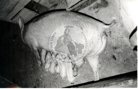 Original Objeto digital not accessible