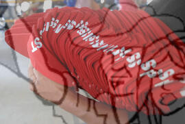 [Título n/d] : lote nº 002, pasta nº 000074, doc. nº 000011 [imagem] / Fotógrafo(a) : [autoria n/d].