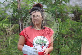 [Título n/d] : lote nº 002, pasta nº 000014, doc. nº 000254 [imagem] / Fotógrafo(a) : [autoria n/d].