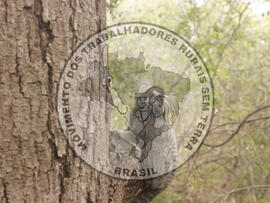 [Título n/d] : lote nº 002, pasta nº 000008, doc. nº 000037 [imagem] / Fotógrafo(a) : [autoria n/d].