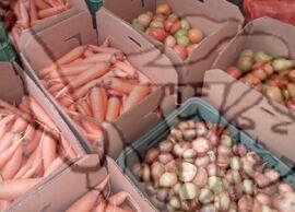 [Título n/d] : lote nº 002, pasta nº 001351, doc. nº 000190 [imagem] / Fotógrafo(a) : [autoria n/d].