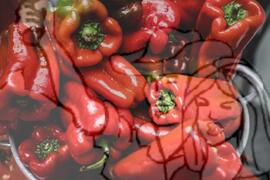 [Título n/d] : lote nº 002, pasta nº 001351, doc. nº 000234 [imagem] / Fotógrafo(a) : [autoria n/d].