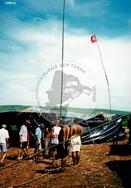 Acampamento " Nova Canudos" do MST (Porto Feliz-SP, 1999) [fotografia] / Fotógrafo(a) : Douglas Mansur. -- Ref.: BR-SPMST_MST-SN-CIN_AMP_000048-000384-ACP.