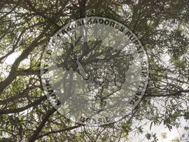 [Título n/d] : lote nº 002, pasta nº 000008, doc. nº 000016 [imagem] / Fotógrafo(a) : [autoria n/d].