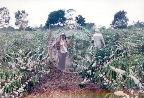 Original Document numérique not accessible