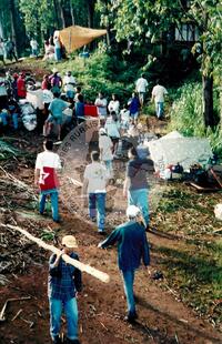 Original Document numérique not accessible