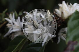 [Título n/d] : lote nº 002, pasta nº 001313, doc. nº 000064 [imagem] / Fotógrafo(a) : [autoria n/d].