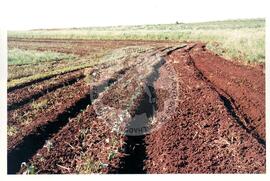 Cooperativa COAGRI (Cantagalo-PR, [sem data]) [fotografia] / Fotógrafo(a) : Arquivo MST. -- Ref.: BR-SPMST_MST-SN-CIN_AMP_001970-015075-PDU.