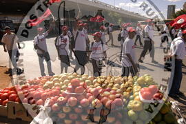 [Título n/d] : lote nº 002, pasta nº 000044, doc. nº 000367 [imagem] / Fotógrafo(a) : [autoria n/d].