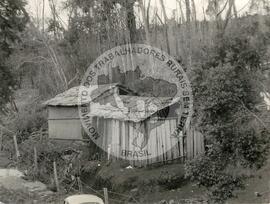 Assentamento "Derrubada" do MST (Ponte Serrada-SC, jan. 1986) [fotografia] / Fotógrafo(a) : Milton Soares. -- Ref.: BR-SPMST_MST-SN-CIN_AMP_000190-001335-ASS.