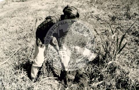 Original Digitaal object not accessible