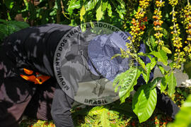 [Título n/d] : lote nº 002, pasta nº 001315, doc. nº 000028 [imagem] / Fotógrafo(a) : [autoria n/d].