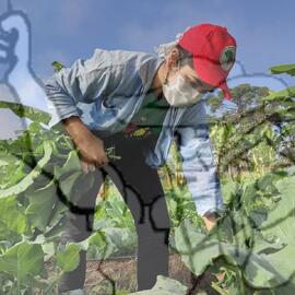 [Título n/d] : lote nº 002, pasta nº 001319, doc. nº 000140 [imagem] / Fotógrafo(a) : [autoria n/d].