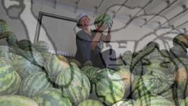 [Título n/d] : lote nº 002, pasta nº 001319, doc. nº 000159 [imagem] / Fotógrafo(a) : [autoria n/d].