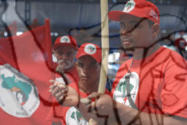 [Título n/d] : lote nº 002, pasta nº 000074, doc. nº 000037 [imagem] / Fotógrafo(a) : [autoria n/d].