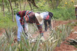 [Título n/d] : lote nº 002, pasta nº 000014, doc. nº 000204 [imagem] / Fotógrafo(a) : [autoria n/d].