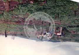 Produção em assentamento (Sergipe, [sem data]) [fotografia] / Fotógrafo(a) : Arquivo MST. -- Ref.: BR-SPMST_MST-SN-CIN_AMP_001976-015161-PDU.