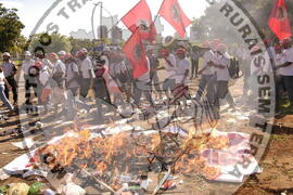 [Título n/d] : lote nº 002, pasta nº 000044, doc. nº 000495 [imagem] / Fotógrafo(a) : [autoria n/d].