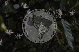 [Título n/d] : lote nº 002, pasta nº 001313, doc. nº 000057 [imagem] / Fotógrafo(a) : [autoria n/d].