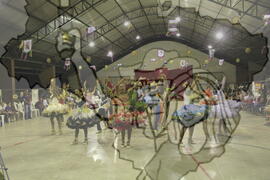 [Título n/d] : lote nº 002, pasta nº 001311, doc. nº 001259 [imagem] / Fotógrafo(a) : [autoria n/d].