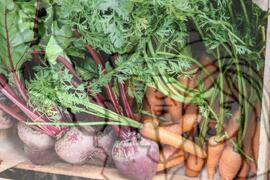 [Título n/d] : lote nº 002, pasta nº 001351, doc. nº 000472 [imagem] / Fotógrafo(a) : [autoria n/d].