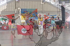 [Título n/d] : lote nº 002, pasta nº 001311, doc. nº 001514 [imagem] / Fotógrafo(a) : [autoria n/d].