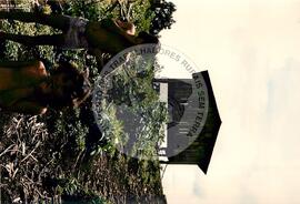 Assentamento "25 de Maio" do MST (Ponte Serrada-SC, fev. 1988) [fotografia] / Fotógrafo(a) : Arquivo MST. -- Ref.: BR-SPMST_MST-SN-CIN_AMP_000191-001357-ASS.