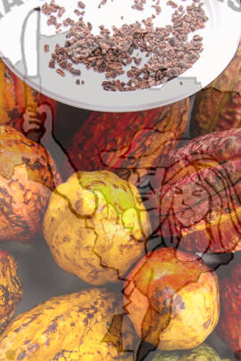 [Título n/d] : lote nº 002, pasta nº 001319, doc. nº 000084 [imagem] / Fotógrafo(a) : [autoria n/d].