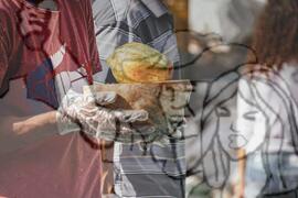 [Título n/d] : lote nº 002, pasta nº 001351, doc. nº 000351 [imagem] / Fotógrafo(a) : [autoria n/d].