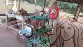 [Título n/d] : lote nº 002, pasta nº 001351, doc. nº 000341 [imagem] / Fotógrafo(a) : [autoria n/d].