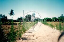 Visita à África - Maguilla (Africa, [sem data]) [fotografia] / Fotógrafo(a) : Arquivo MST. -- Ref.: BR-SPMST_MST-SN-CIN_AMP_001100-009010-RIT.