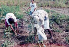 Curso Prolongado região sudeste - CIDAP (São Matheus-ES, ago. 2000) [fotografia] / Fotógrafo(a) : Leticia Barqueta. -- Ref.: BR-SPMST_MST-SN-CIN_AMP_000822-005452-CUR.