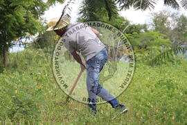 [Título n/d] : lote nº 002, pasta nº 000014, doc. nº 000230 [imagem] / Fotógrafo(a) : [autoria n/d].