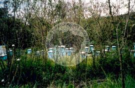 Inauguração da Rádio Comunitária (Itapeva-SP, 28 nov. 2008) [fotografia] / Fotógrafo(a) : Cláudio Foschieira. -- Ref.: BR-SPMST_MST-SN-CIN_AMP_000696-004101-ARV.