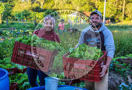 [Título n/d] : lote nº 002, pasta nº 001344, doc. nº 000055 [imagem] / Fotógrafo(a) : [autoria n/d].