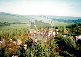 Acampamento " Nova Canudos" do MST (Porto Feliz-SP, 1999) [fotografia] / Fotógrafo(a) : Douglas Mansur. -- Ref.: BR-SPMST_MST-SN-CIN_AMP_000048-000405-ACP.