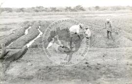 Assentamento do MST [sem identificação] (Rio Grande do Norte, nov. 1993) [fotografia] / Fotógrafo(a) : Milton Pomar. -- Ref.: BR-SPMST_MST-SN-CIN_AMP_000341-001628-ASS.