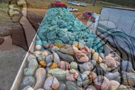 [Título n/d] : lote nº 002, pasta nº 001350, doc. nº 000012 [imagem] / Fotógrafo(a) : [autoria n/d].