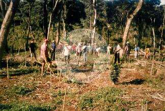 Original Document numérique not accessible