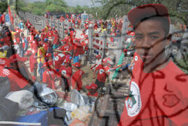 [Título n/d] : lote nº 002, pasta nº 000074, doc. nº 000159 [imagem] / Fotógrafo(a) : [autoria n/d].