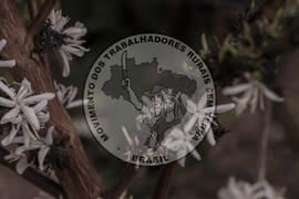 [Título n/d] : lote nº 002, pasta nº 001314, doc. nº 000017 [imagem] / Fotógrafo(a) : [autoria n/d].