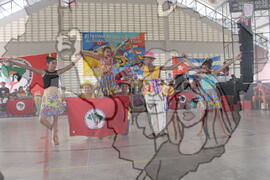 [Título n/d] : lote nº 002, pasta nº 001311, doc. nº 001519 [imagem] / Fotógrafo(a) : [autoria n/d].