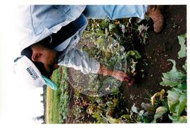 Assentamento "30 de outubro" do MST (Santa Catarina, [sem data]) [fotografia] / Fotógrafo(a) : Douglas Mansur. -- Ref.: BR-SPMST_MST-SN-CIN_AMP_000199-001482-ASS.