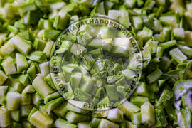 [Título n/d] : lote nº 002, pasta nº 001350, doc. nº 000131 [imagem] / Fotógrafo(a) : [autoria n/d].