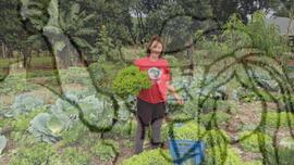 [Título n/d] : lote nº 002, pasta nº 001319, doc. nº 000164 [imagem] / Fotógrafo(a) : [autoria n/d].