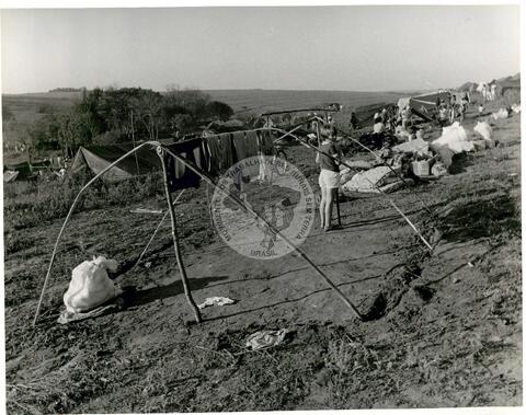 Original Digitaal object not accessible