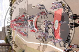 [Título n/d] : lote nº 002, pasta nº 000044, doc. nº 000377 [imagem] / Fotógrafo(a) : [autoria n/d].