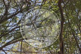 [Título n/d] : lote nº 002, pasta nº 000008, doc. nº 000012 [imagem] / Fotógrafo(a) : [autoria n/d].