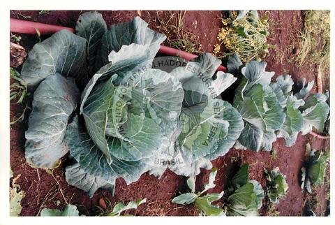 Original Document numérique not accessible